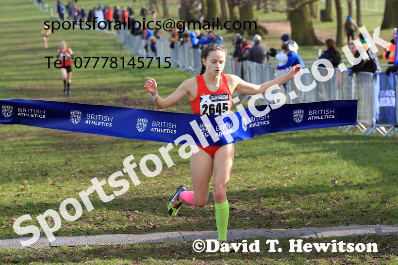 Girls Under-15s, 2024 CAU Inter Counties Cross Country Champs., Wollaton Park, Nottingham. Photo: David T. Hewitson/Sports for All Pics